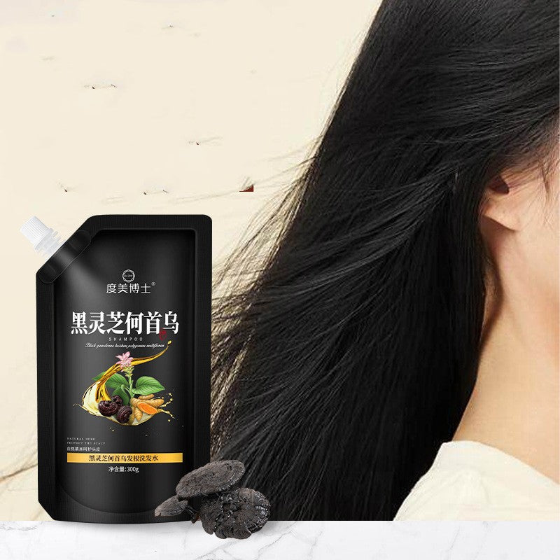 Black Ganoderma Polygonum Multiflorum Hair Root Cleaning Care Shampoo